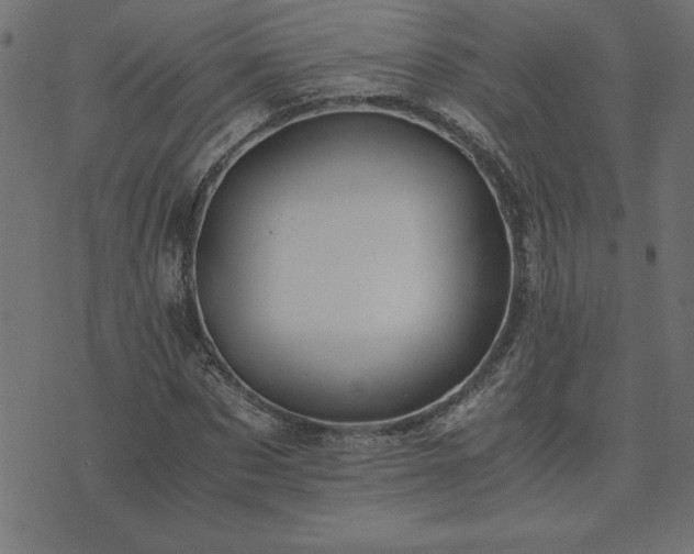 X0000073900873200608180956