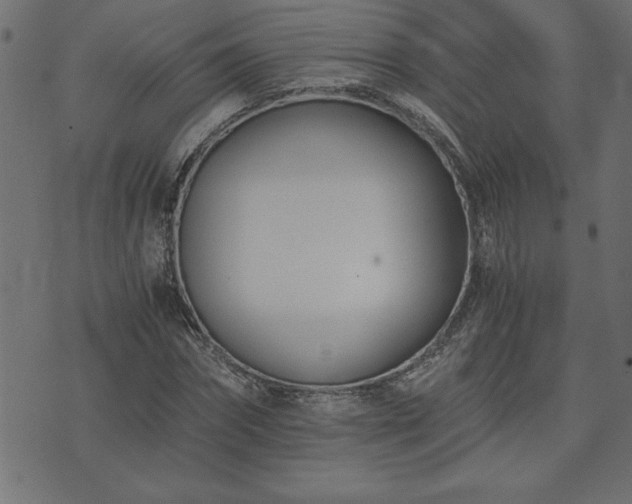 X0000073900874200608180956