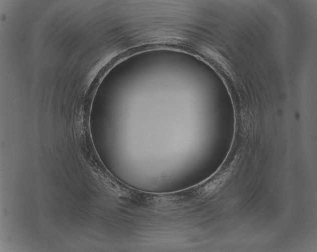 X0000073900875200608180956