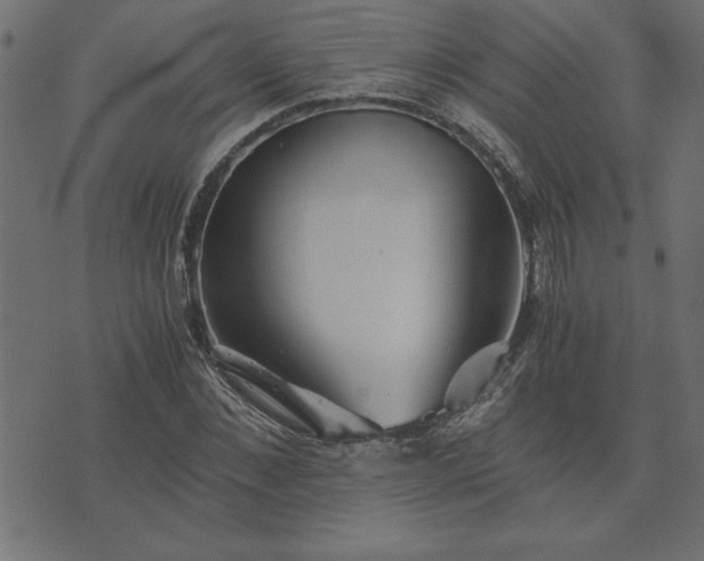 X0000073900876200608180956