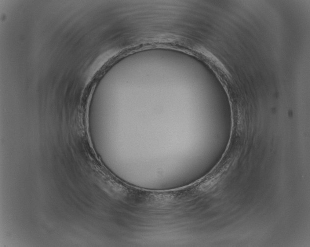 X0000073900878200608180956