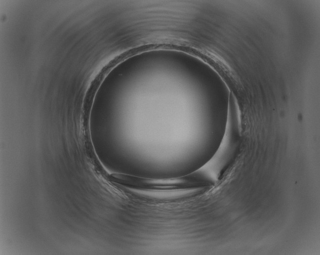 X0000073900880200608180956