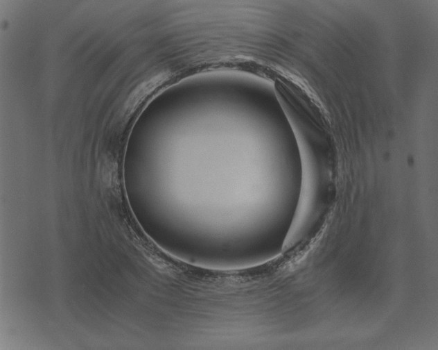 X0000073900881200608180956