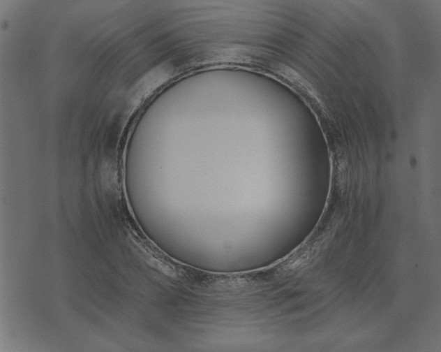 X0000073900882200608180956