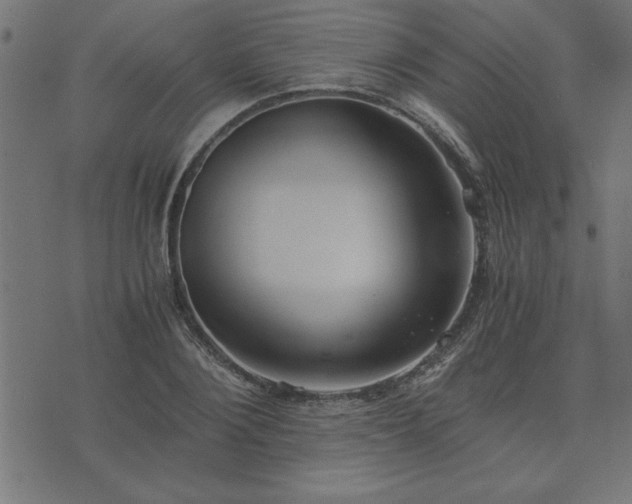 X0000073900884200608180956