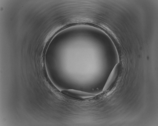 X0000073900885200608180956