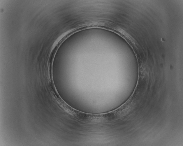 X0000073900886200608180956