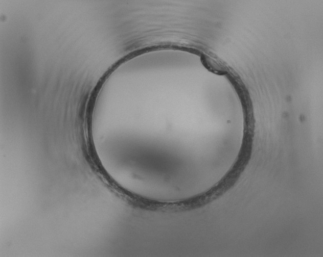 X0000073900888200608180956