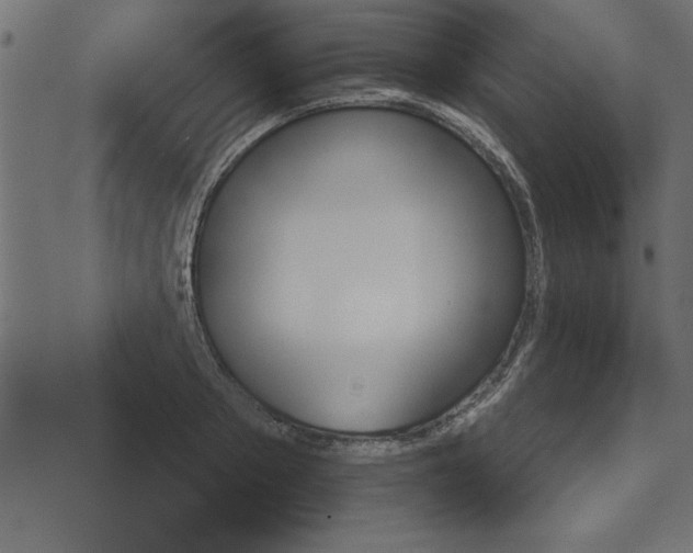 X0000073900889200608180956