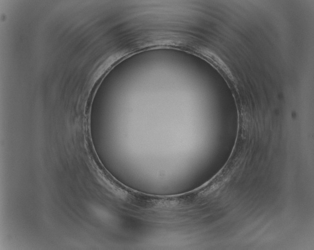 X0000073900890200608180956