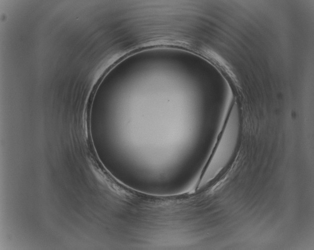 X0000073900892200608180956