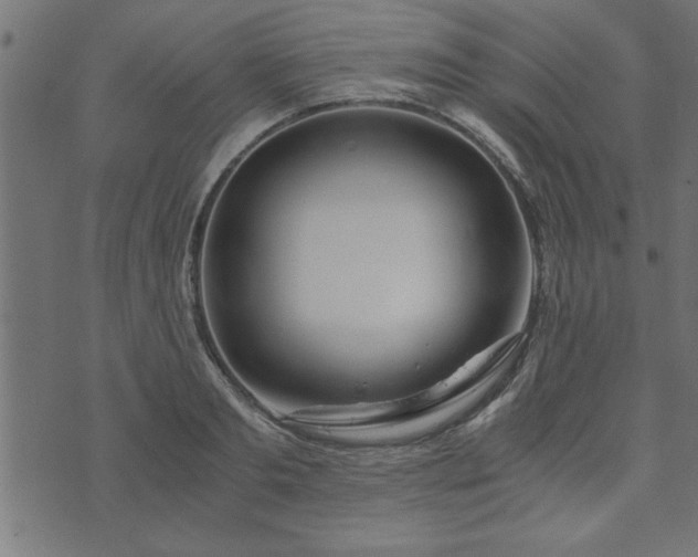 X0000073900893200608180956