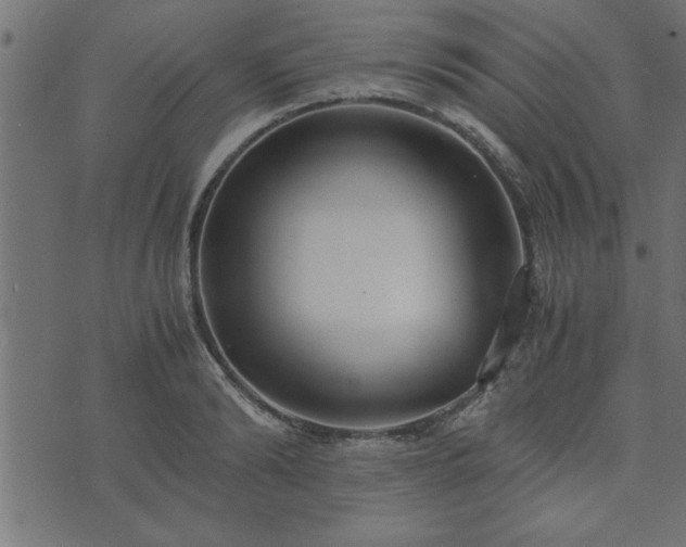 X0000073900894200608180956