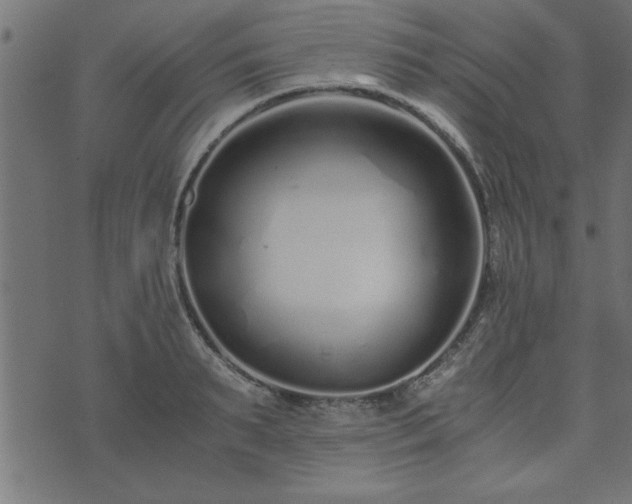 X0000073900895200608180956