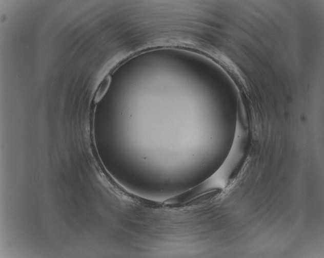 X0000073900896200608180956