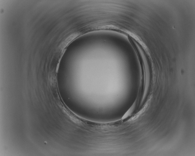 X0000073900897200608180956