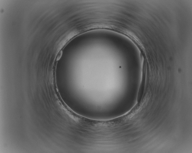 X0000073900898200608180956