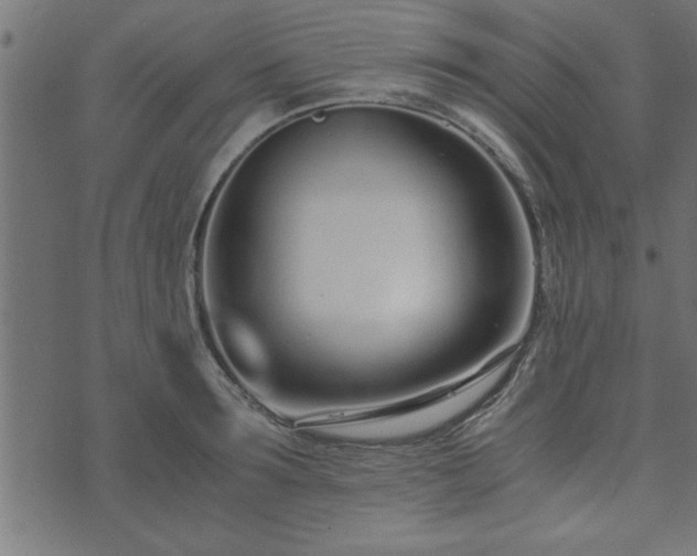 X0000073900899200608180956