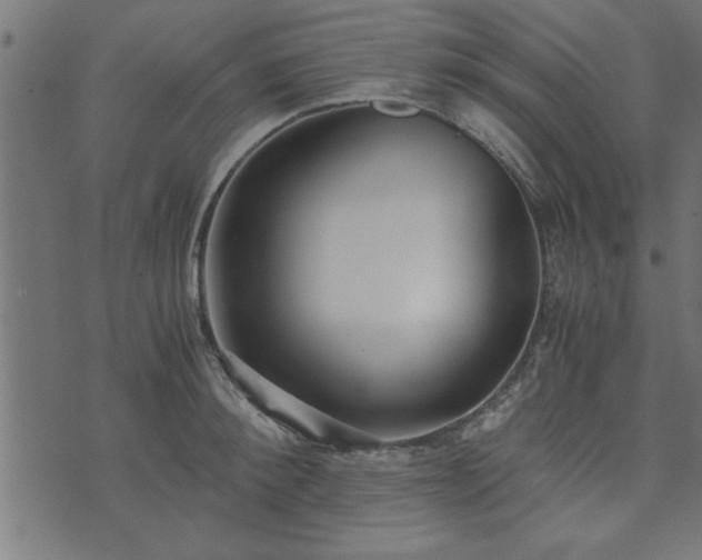 X0000073900900200608180956