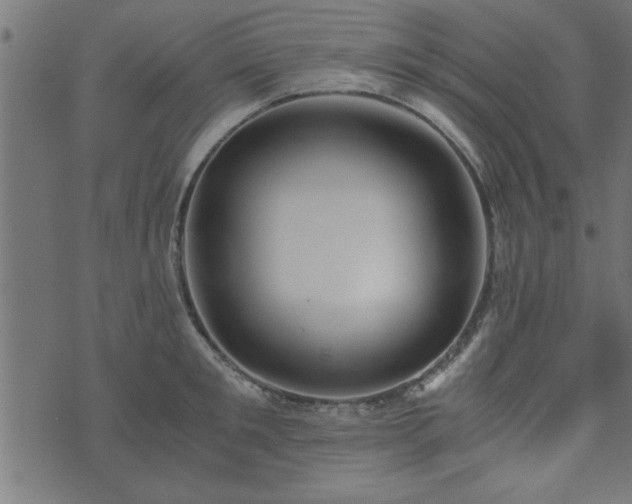 X0000073900901200608180956