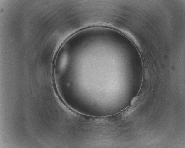 X0000073900903200608180956