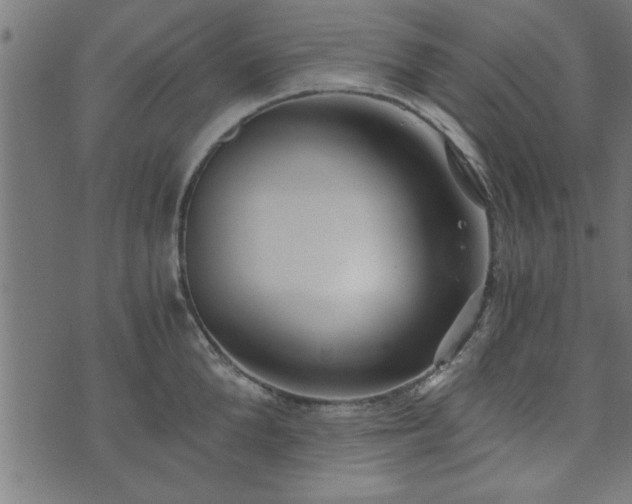 X0000073900904200608180956