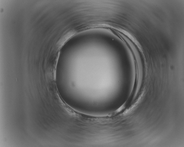 X0000073900905200608180956