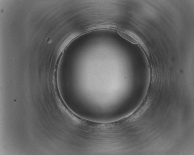 X0000073900906200608180956