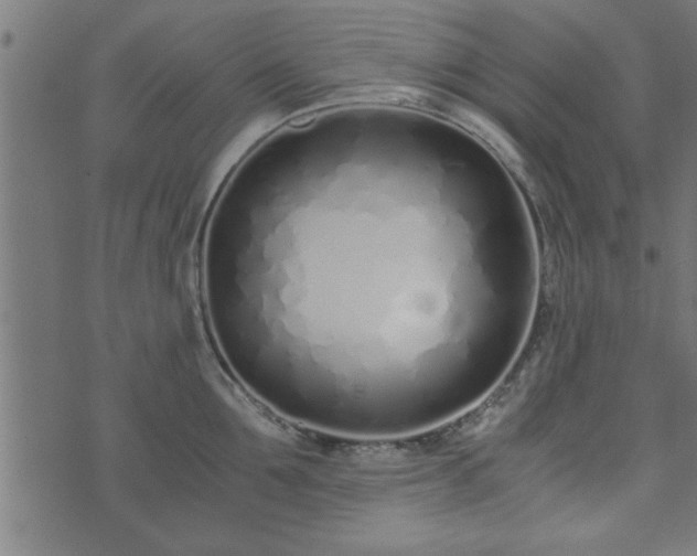 X0000073900907200608180955