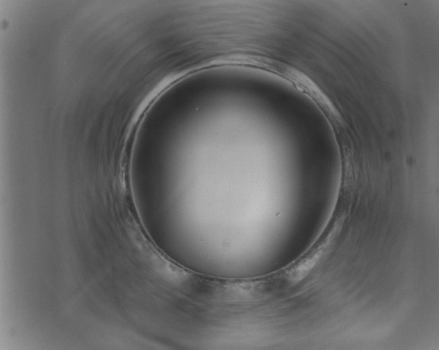 X0000073900908200608180955