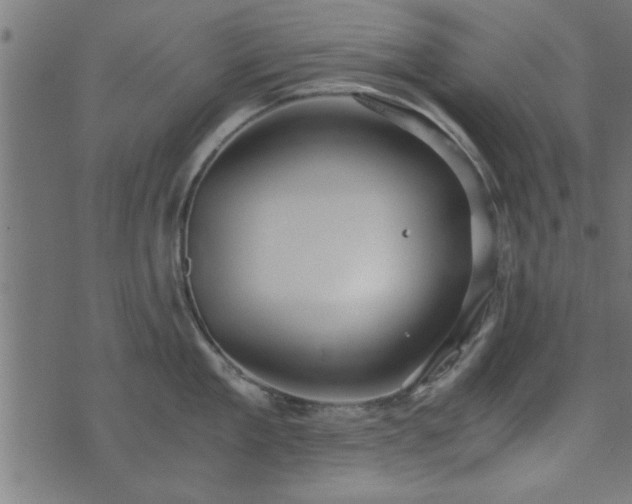 X0000073900909200608180955