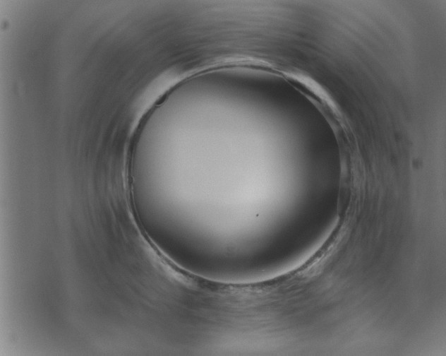 X0000073900910200608180955