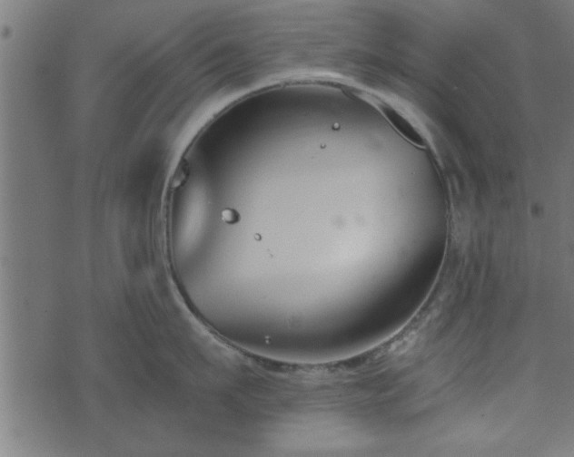 X0000073900911200608180955