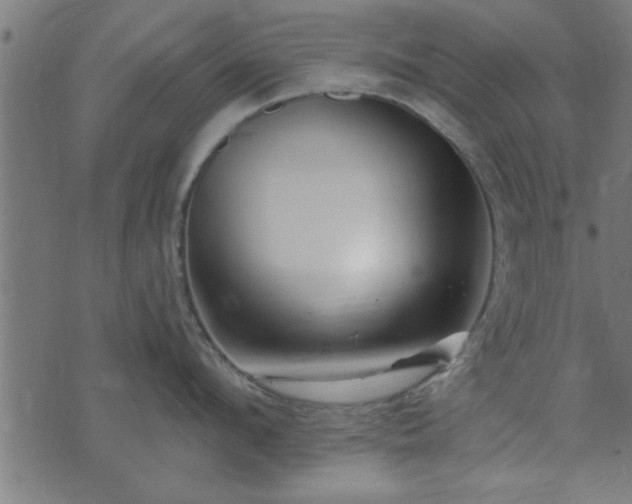 X0000073900912200608180955