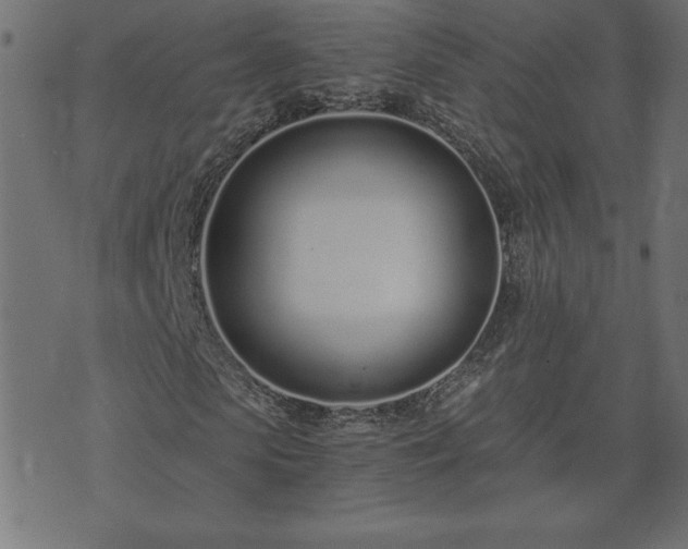 X0000073900913200608180955