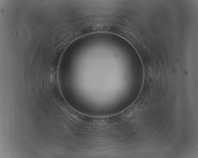 X0000073900914200608180955