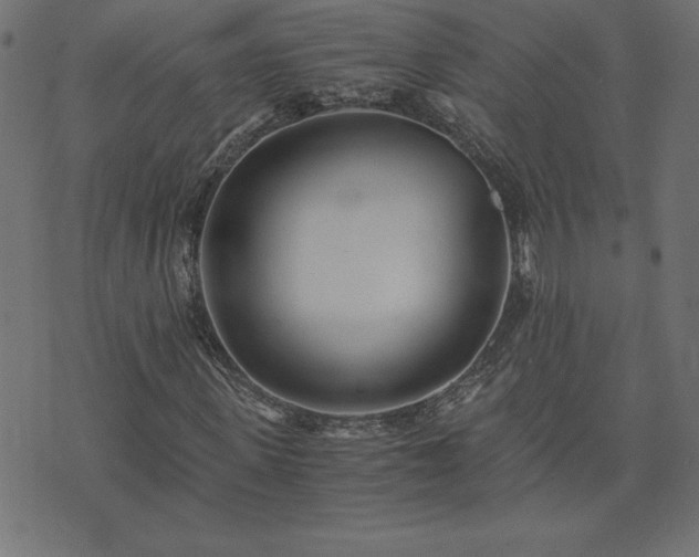 X0000073900915200608180955