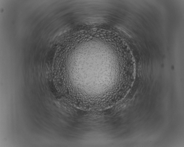 X0000073900917200608180955