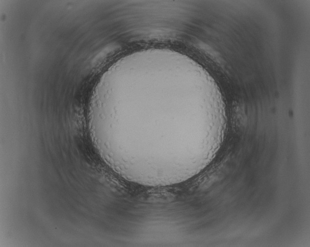 X0000073900918200608180955