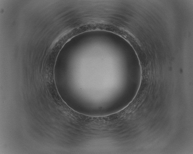 X0000073900919200608180955