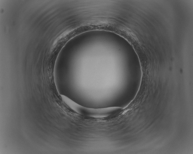 X0000073900920200608180955