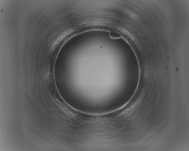 X0000073900922200608180955