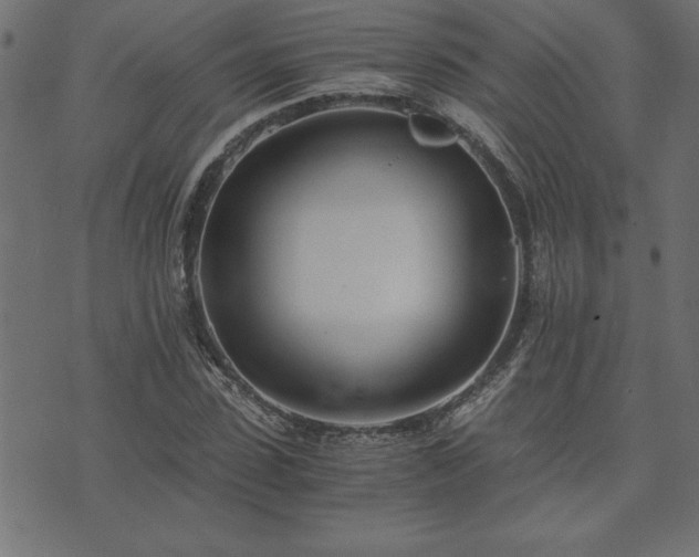 X0000073900923200608180955