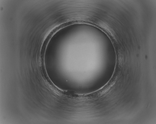 X0000073900924200608180955