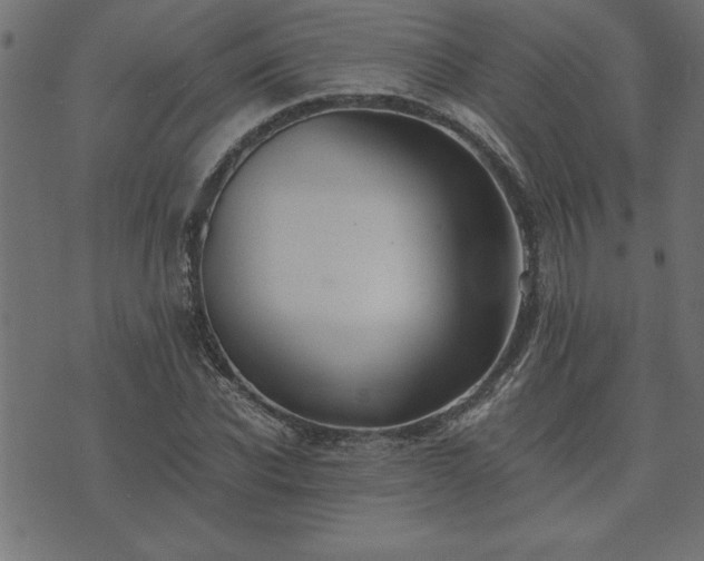 X0000073900926200608180955