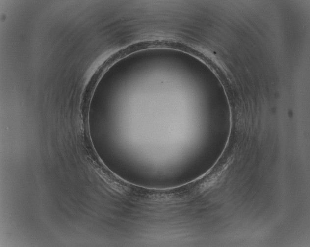 X0000073900927200608180955