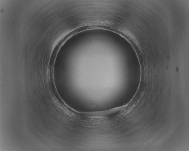 X0000073900928200608180955