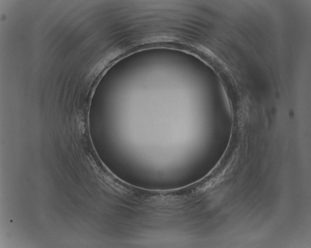 X0000073900929200608180955