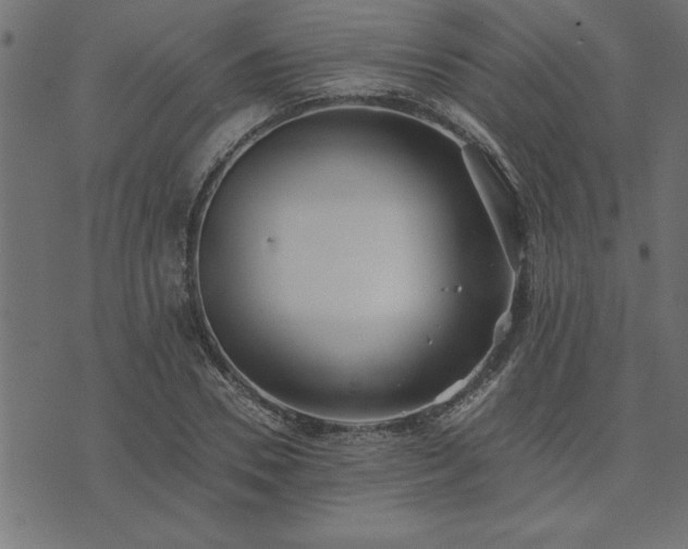 X0000073900930200608180955