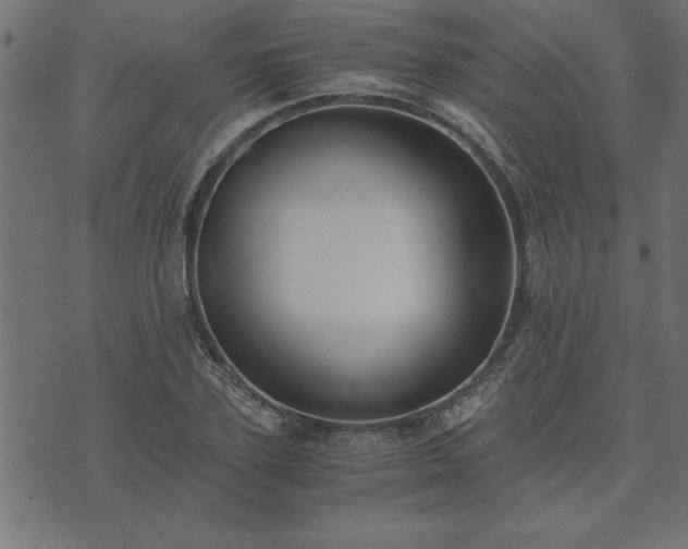 X0000073900931200608180955